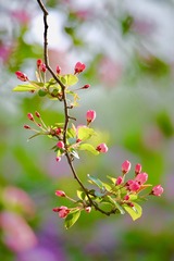 20190322 - 17