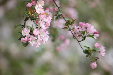 20190325 - 22