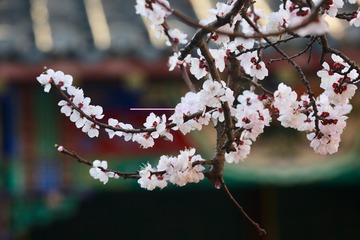 20180316 - 21