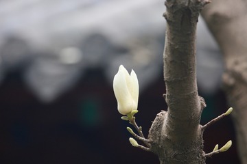 20180321 - 16