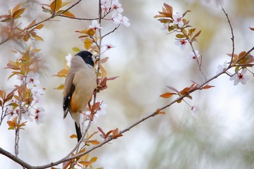 20190324 - 9