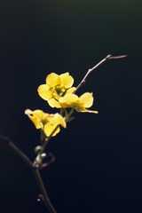 20180406 - 28