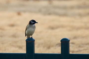 20180326 - 28