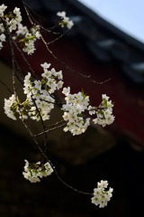 20180326 - 167
