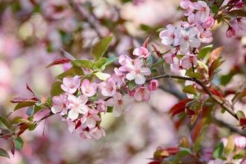 20190331 - 16