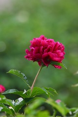 20190424 - 25