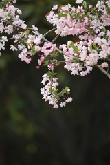 20190402 - 3