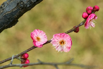 IMG_20190227_200806