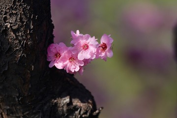 20180326 - 142