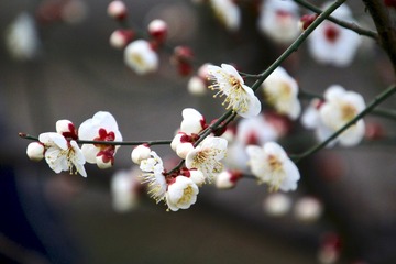 20180308 - 11