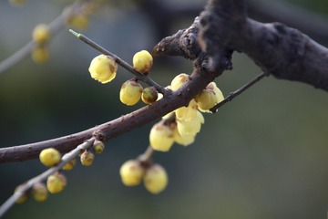 20180105 - 2