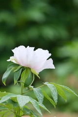 20190423 - 7