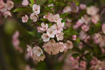 20180331 - 18