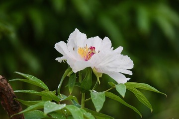 20190424 - 32