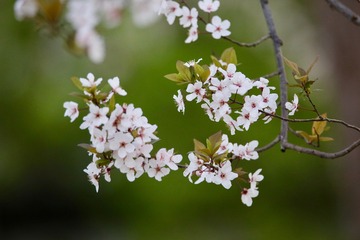 201903211 - 13