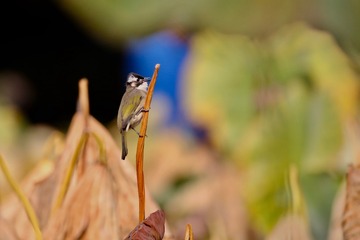 20181012 - 19