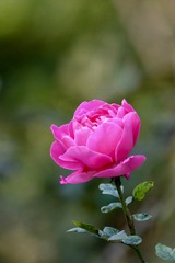 20181012 - 10