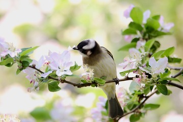 20190405 - 4