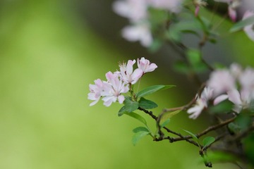 20190407 - 3