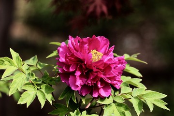20190412 - 54