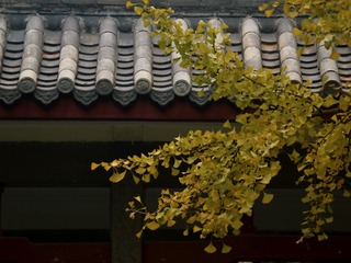20191102 - 9