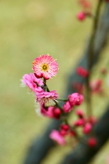 IMG_20190227_200822