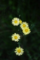 1603666