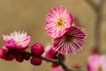IMG_20190227_201154