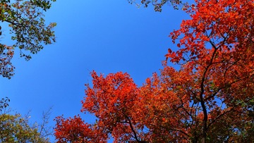 P1040779-01