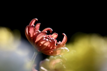 20191101 - 18