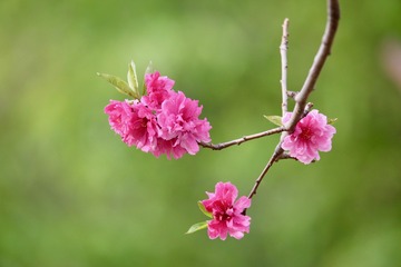 20190412 - 5