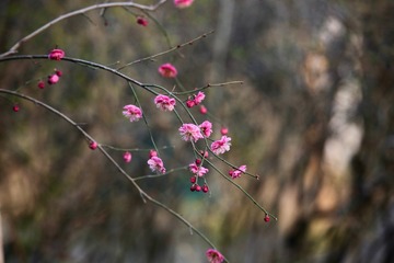 20180313 - 13