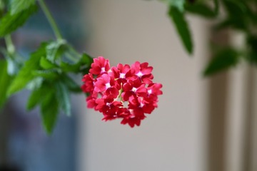 20180304 - 1