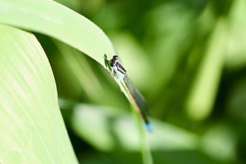 20180508 - 15