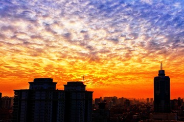 P1050138-03