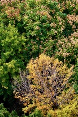 20191106 - 47