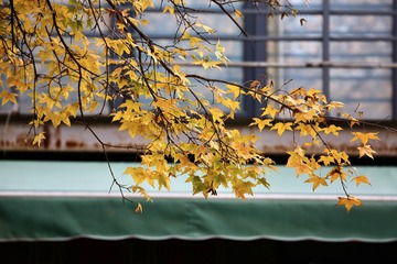 20191113a - 51