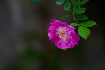 20190511 - 26