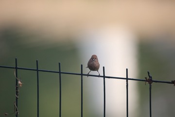20180313 - 66