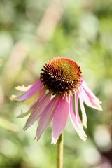 20191105 - 4
