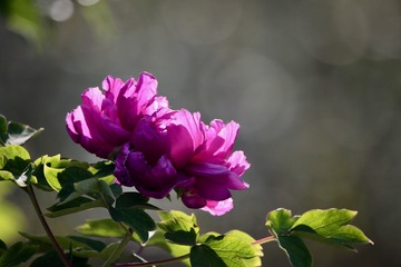 20180417 - 22