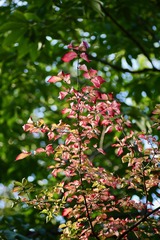 20181024 - 3