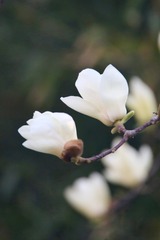20180316 - 7