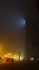 1429117