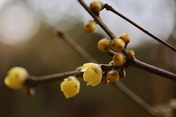 20171227 - 10
