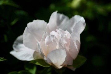 20180405 - 15