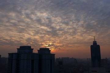 P1050138