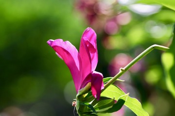 20180508 - 7