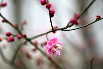 20180228 - 5