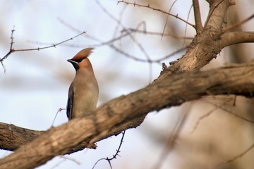 20180302 - 9